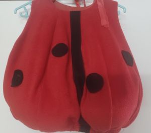 Kids Costumes to Hire - Ladybug bib & headpce - 2 pce